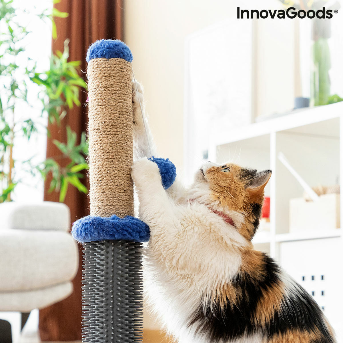 Cat Scratching and Massage Post with Ball Miausage InnovaGoods