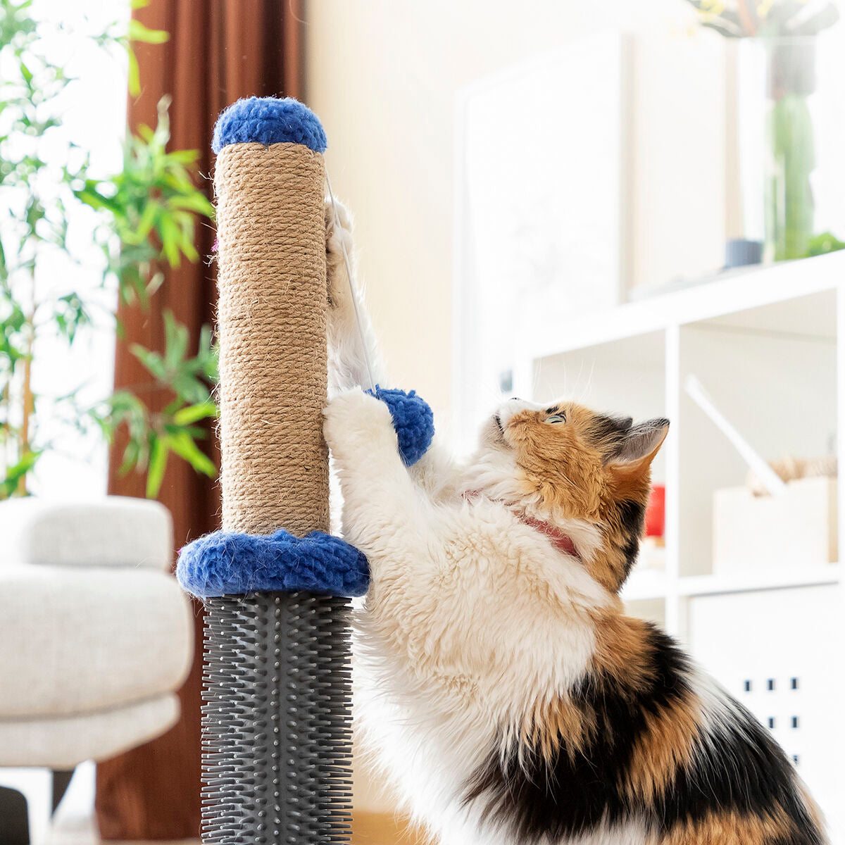 Cat Scratching and Massage Post with Ball Miausage InnovaGoods